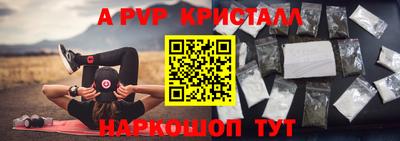 шишки Тара