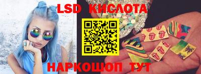 шишки Тара