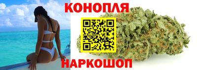 крисы Тверь