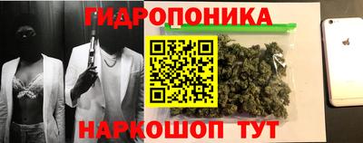 шишки Тара
