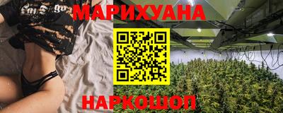 шишки Тара