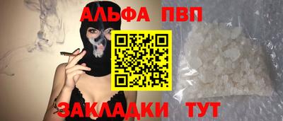 шишки Тара